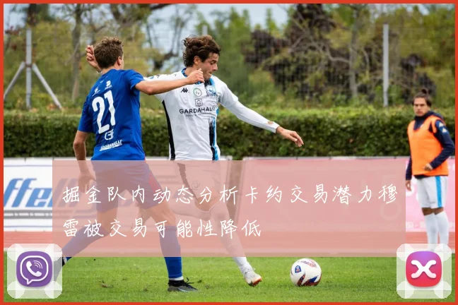 掘金队内动态分析卡约交易潜力穆雷被交易可能性降低